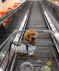 ���곬�й��װ�꣡�����������ֶ����Ͽ���