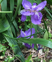 ����ɽ��ʱ���ֵģ���һ�����Ų�֪����ʲ