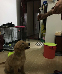 � ��ë������