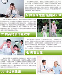 梅精