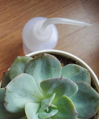 Ŀǰ����������Ķ���