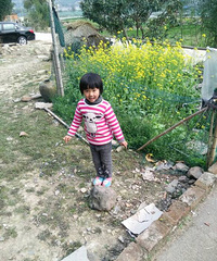 С����֪�����ͳ�����