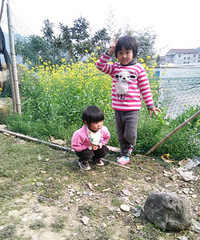 С����֪�����ͳ�����