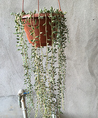 �����ᣬһ�ξ����ˡ���