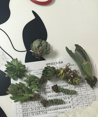 �����ڼ����˺þá���������¾Ͱ��������þͺ��ˡ�