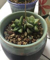 �����ڼ����˺þá���������¾Ͱ��������þͺ��ˡ�