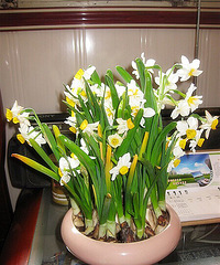 ��̨�ݶ��⻨��Ȧ���ҼҵĻ���2