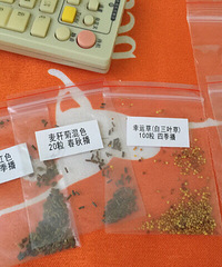 �������������İ����� �������ٶȰ�