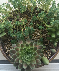 ���������мǡ�+���Ѿ�����