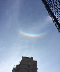 ·��·��Сѧ����������Сѧѧ����