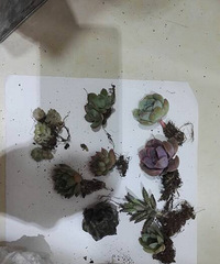 �̲�ס������˻�