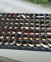 �о������϶����ˡ����Ա�������һ�����ĳ�