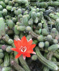 ���û������ɣ�����ǰ��ʲô��ʲô��״����