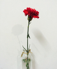 һ��һ����