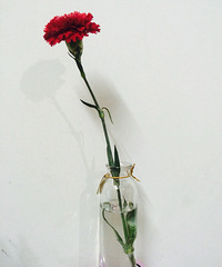 һ��һ����