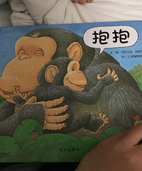 5�»汾��  �汾��