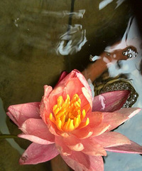 ���꿪��˯������άɯ��ϼ�����������ࡣ��