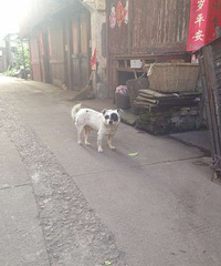 ·�����ⵥ����