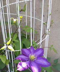 ��Щ��ȥ������_������