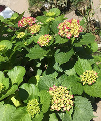 �����ʲô��˭֪��