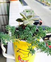 ����һ������ɺã�