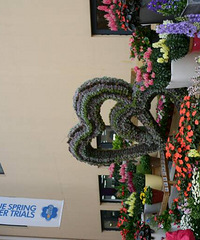 �Ҽ�֮��Խ��չ   1