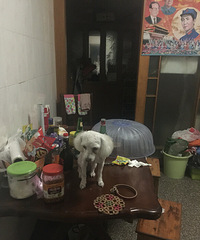 #������#  ������Ṥ �����߱�