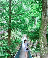 ɹɹ���ε���Ƭ