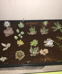 ���һ�����⵽���ˣ�ʮ���Ʒ�֣���ҹ����