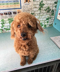 ����ȥ����ҽԺ������ǣ�������ߣ��ſ�����