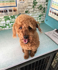 ����ȥ����ҽԺ������ǣ�������ߣ��ſ�����