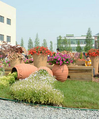 �Ҽ�֮��Խ��չ2