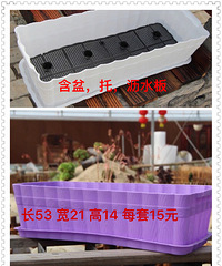 多肉万象盆,石丸盆,吊兰盆,阳台种菜盆,满20浙江沪包邮