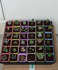 �����Ʒ�ֶ���ȫ�����Ĳ����ϻ��������Ա�