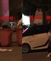 年轻姑娘遭凶残男撕裤子!不仅非礼妹纸竟还…