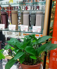 ����ð���ݣ�ɹһɹ�ҵ�����