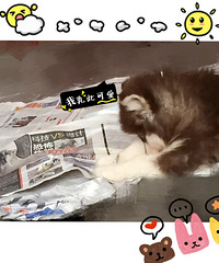 #������# ����˹�ӣ�����˺�ң�