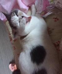 ������Ⱦ������ó��˵㣬����Ҳ����������