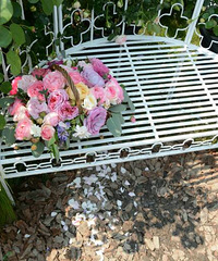 520ֻ���Ը����Ը�