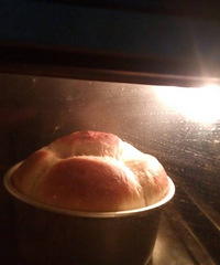 土司作业
