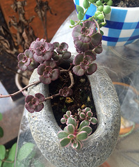 ����һů�ͳ����ر�ϲ�ˣ����Ŷ�����