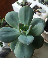 ����һů�ͳ����ر�ϲ�ˣ����Ŷ�����