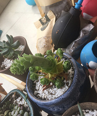 ɽ��õ��Խ��Խ����˭֪��ԭ����