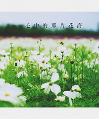 换了三次地铁终于找到了钱塘江边的这片花海