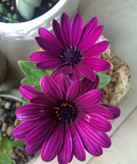 �����һ���£�������