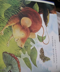 �����»汾�¡�һֱ���㣬��Զ���㣡