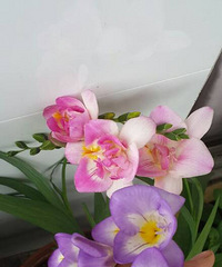 2015��С����