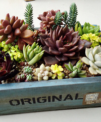 �ҵ�����