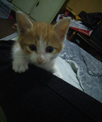 �ұ���������ƺܾ��ˣ��᲻�÷���