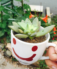 ��ˮ���ݶ������ڶ���ĺ�ȥ��